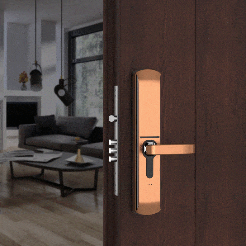 Fingerprint Door Locks: 10 Things You Should Know 2