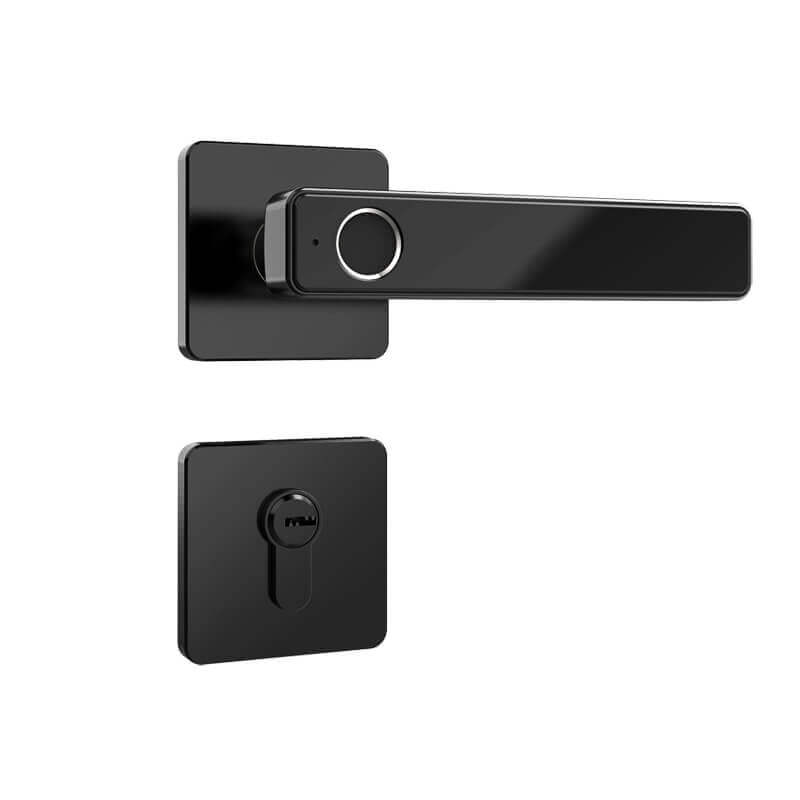 Biometric Thumbprint Door Handle Enter Lock For Hourse Door SL-F2019